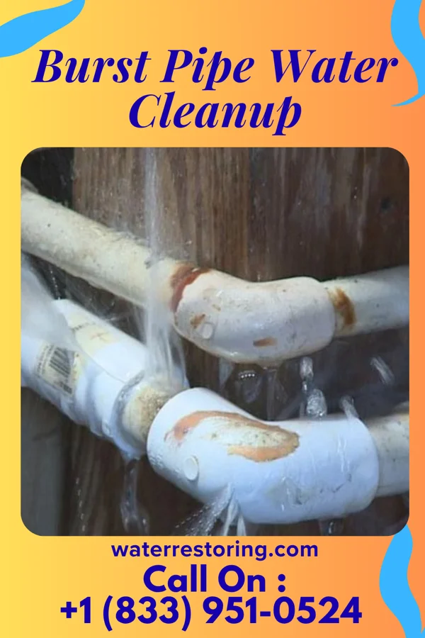 Burst Pipe Water Cleanup in Bethlehem, WV