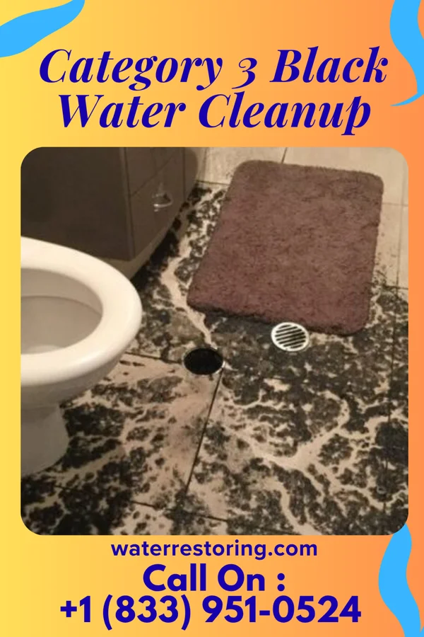 Category 3 Black Water Cleanup in Bethlehem, WV