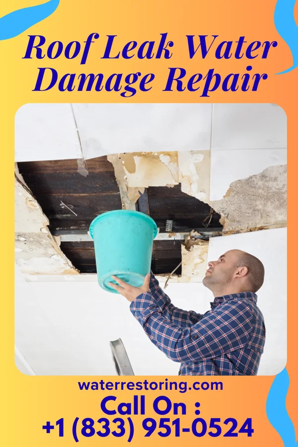 Roof Leak Water Damage Repair in Bethlehem, WV