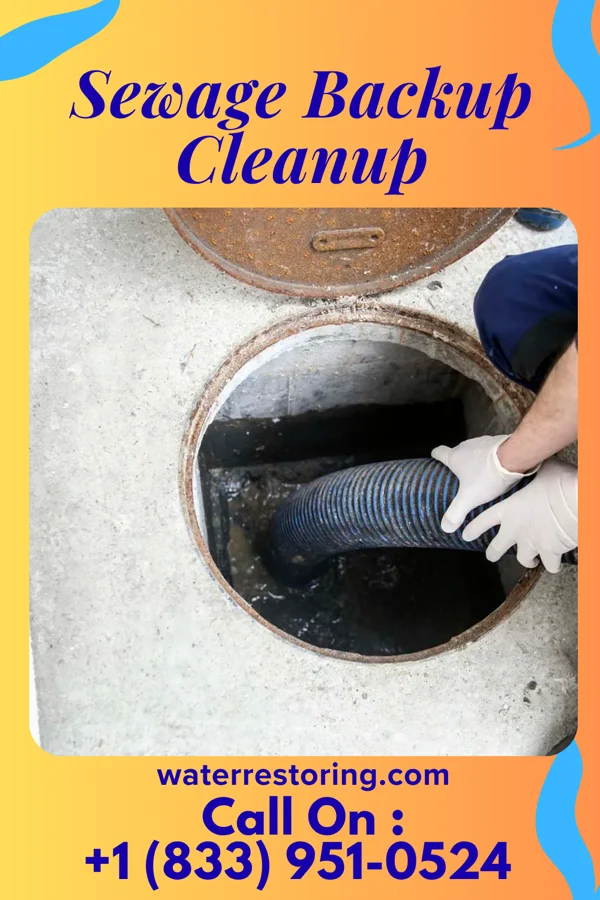 Sewage Backup Cleanup in Bethlehem, WV